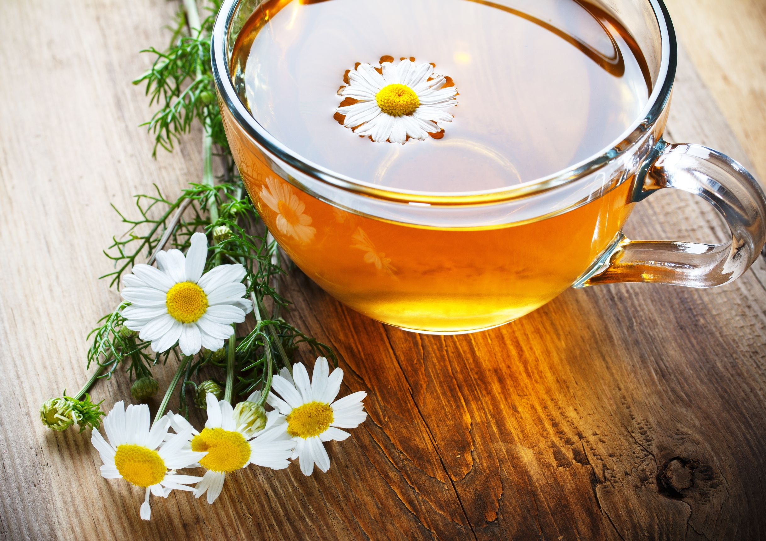 Which Is The Best Chamomile Tea Brand - HealthNatics CBD Treatment